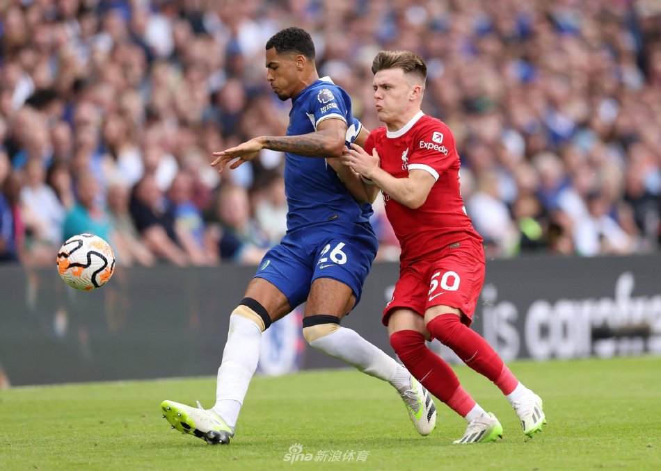 了大众视野 了大众视野